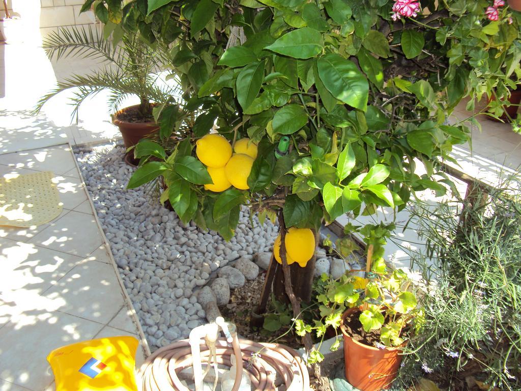 Apartment Lemon ดูบรอฟนิก ภายนอก รูปภาพ