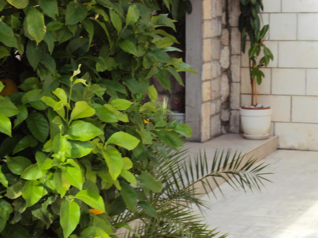 Apartment Lemon ดูบรอฟนิก ภายนอก รูปภาพ
